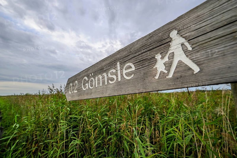 Wooden signpost shows a hiking trail through the reed areas, Tåkern, Vadstena, Östergötalands Län, Sweden