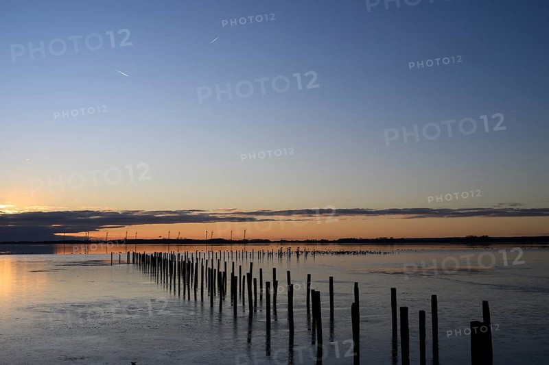 Row of posts over calm water at dusk, deep blue tones, wooden posts, boat dock posts run into the water at sunset, quiet atmosphere, Dümmer See, Lembruch, Lower Saxony, Germany