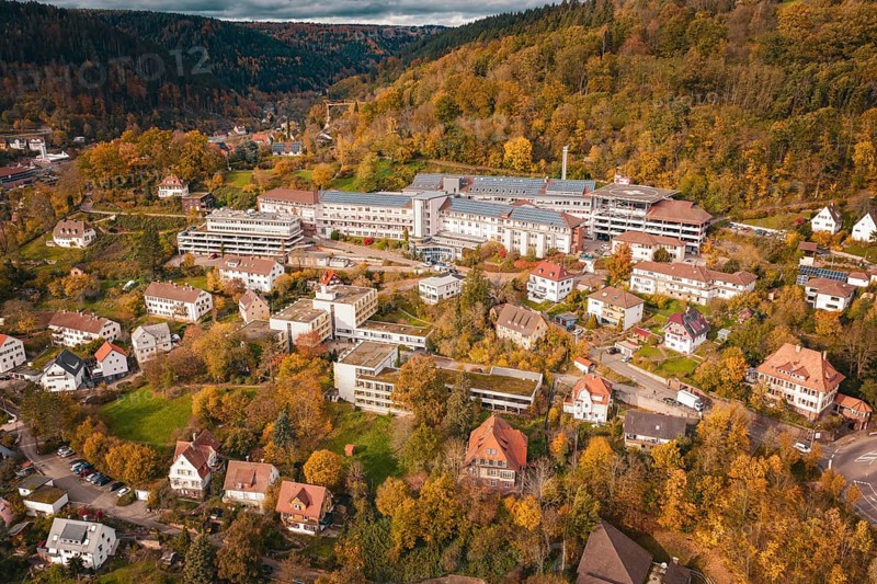 Town in autumn landscape with buildings and trees surrounded by hills and cloudy sky, Altes Krankenhaus, Calw, Germany