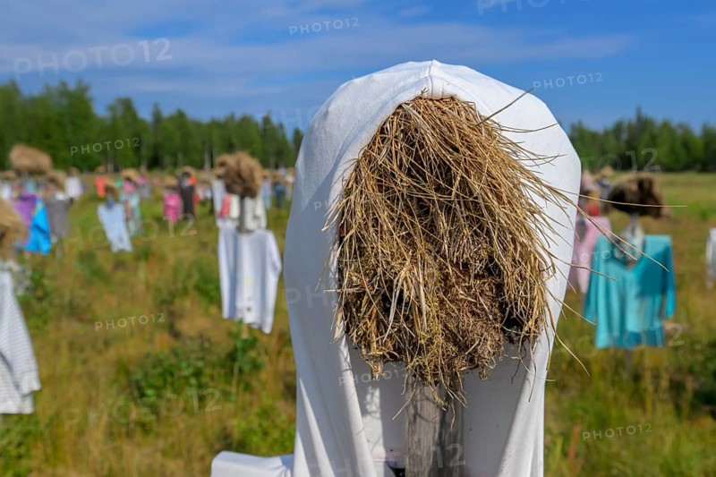 Artwork outdoor installation The silent people of Reijo Kela Straw dolls wear colorful clothes in a field at the edge of the forest, Suomussalmi, Kainuu, Finland