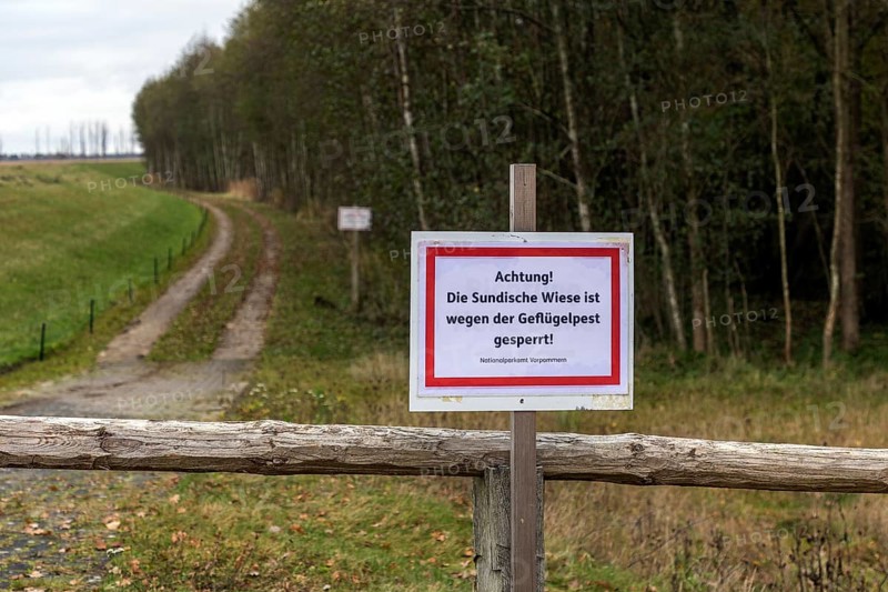Information sign, Achtung Sundische Wiese closed due to avian influenza, Osterwald, Zingst, Fischland-Darß-Zingst, Western Pomerania National Park, Mecklenburg-Western Pomerania, Germany