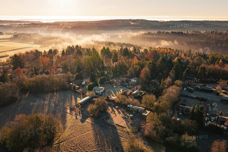 Snowy village surrounded by thick forests with fog and sunrise over the hills, Gechingen, Calw district, Germany