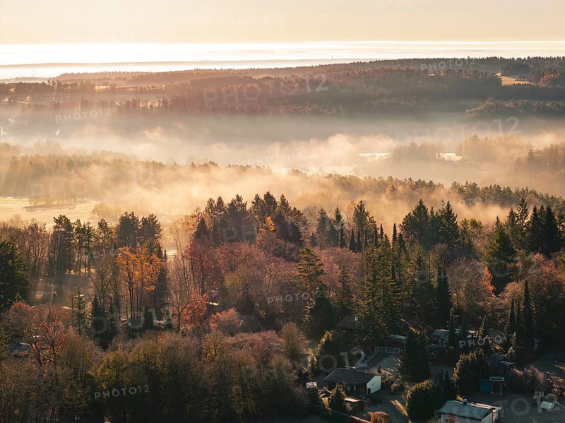 View of fog-shrouded hills and dense forests at rising sun, Gechingen, Calw district, Germany