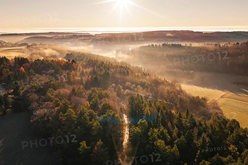 Autumn forests in fog illuminated by the rising sun over the hills, Gechingen, Calw district, Germany