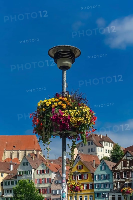 Flower decoration on street lamp, colorful blossoms, light, on the Neckar, historic old town behind, Neckar front, houses, colorful facades, Tübingen, Baden-Württemberg, Germany