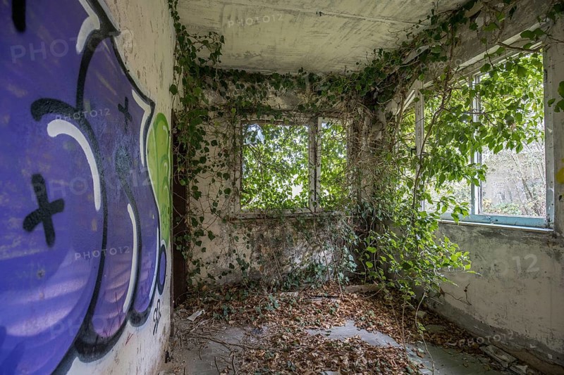 Room with gravity and overgrown with plants, dilapidated plant of a former agricultural production cooperative of the former GDR, LPG, Lost Place, Müggenburg, Fischland-Darß-Zingst, Western Pomerania Lagoon Area National Park, Mecklenburg-Western Pomerania, Germany