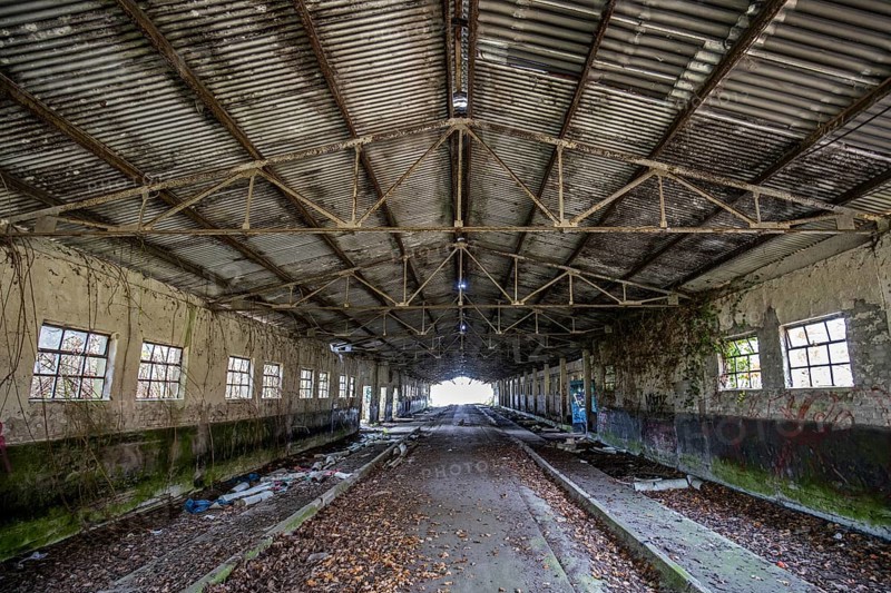 Abandoned hall with Grafity, dilapidated plant of a former agricultural production cooperative of the former GDR, LPG, Lost Place, Müggenburg, Fischland-Darß-Zingst, Western Pomerania National Park, Mecklenburg-Western Pomerania, Germany