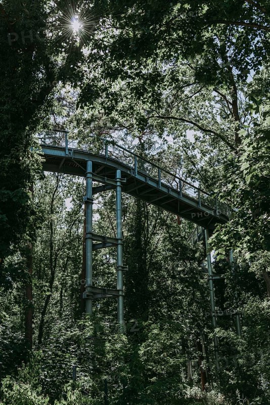 Lost Place, Treetop Trail of the Beelitz Heilstätten, Brandenburg