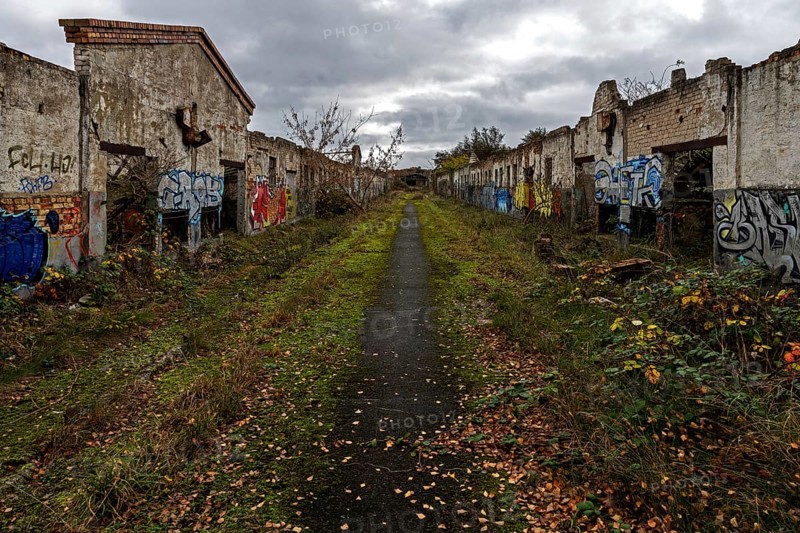 Dilapidated halls with gravity of the dilapidated plant of a former agricultural production cooperative of the former GDR, LPG, Lost Place, Müggenburg, Fischland-Darß-Zingst, Western Pomerania National Park, Mecklenburg-Western Pomerania, Germany