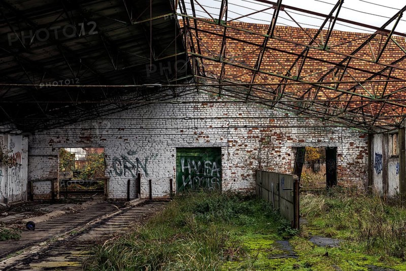 Former hall, dilapidated plant of a former agricultural production cooperative of the former GDR, LPG, Lost Place, Müggenburg, Fischland-Darss-Zingst, Western Pomerania Lagoon Area National Park, Mecklenburg-Western Pomerania, Germany