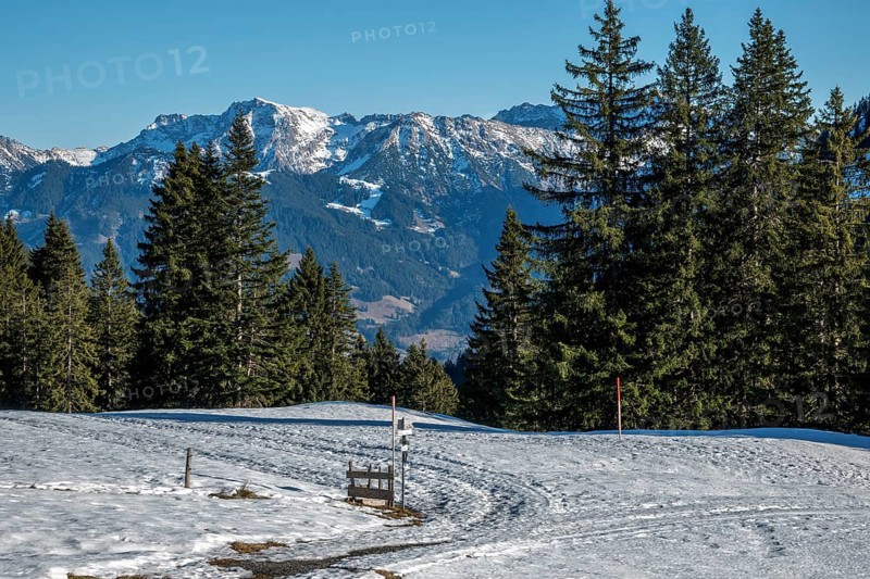 View from the high-altitude hiking trail from Bolsterlanger Horn to Riedberger Horn, snow-capped mountains of the Allgäu Alps, Bolsterlang, Oberstdorf, Oberallgäu, Allgäu, Bavaria, Germany