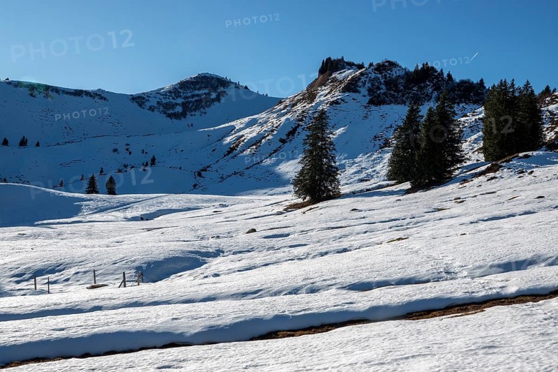 High-altitude hiking trail from Bolsterlanger Horn to Riedberger Horn, snow-covered, behind Riedbergerhorn, Bolsterlang, Oberstdorf, Oberallgäu, Allgäu, Bavaria, Germany