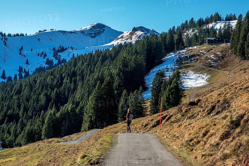 Female hiker on high-altitude hiking trail from Bolsterlanger Horn to Riedberger Horn, back Riedbergerhorn, Bolsterlang, Oberstdorf, Oberallgäu, Allgäu, Bavaria, Germany