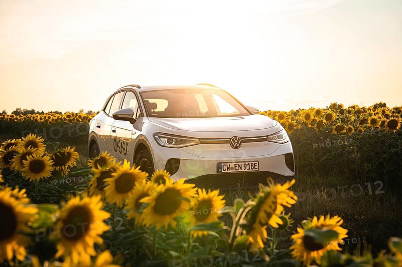 A white car is placed in sunflowers at sunset, VW ID4 electric car, Deer Carsharing, Calw, Germany