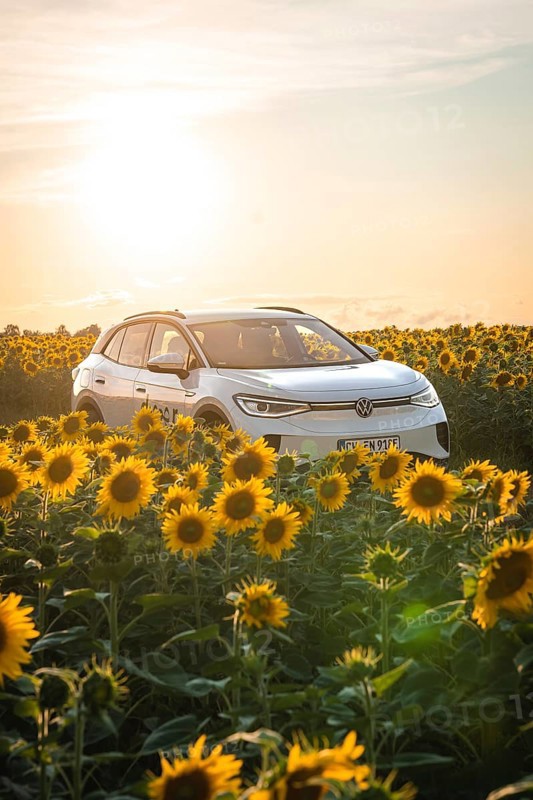 A white car is surrounded by sunflowers at sunset, VW ID4 electric car, Deer Carsharing, Calw, Germany