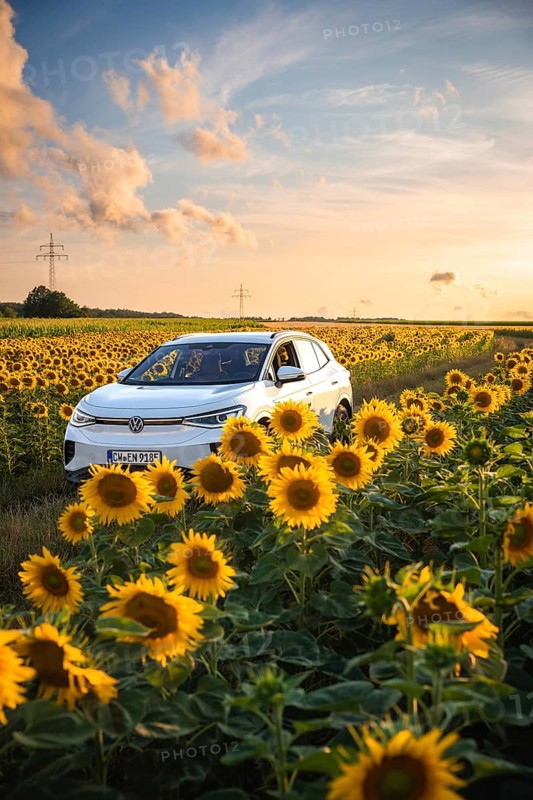 White car in a wide sunflower field at sunset, surrounded by nature and rural peace, VW ID4 electric car, deer car sharing, Calw, Germany