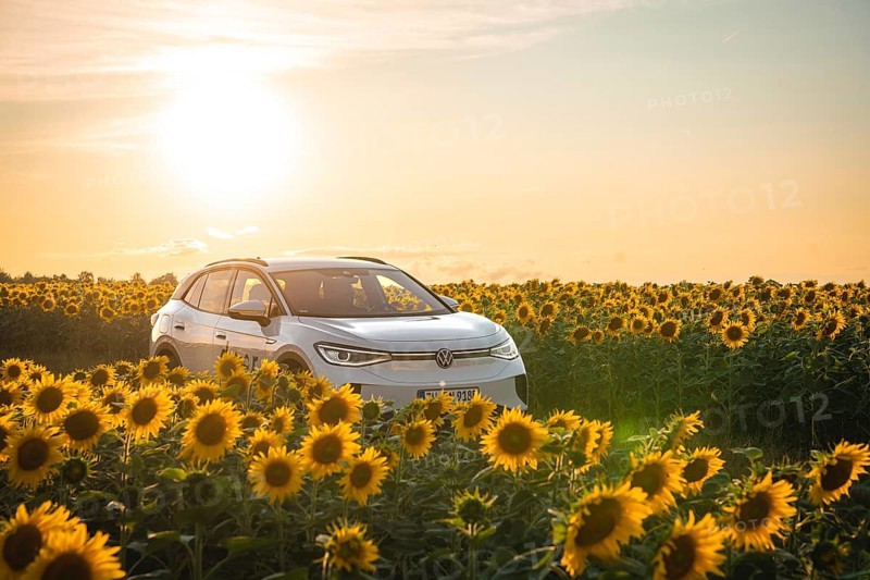 A white car is parked in a sunflower field at sunset, VW ID4 electric car, Deer Carsharing, Calw, Germany
