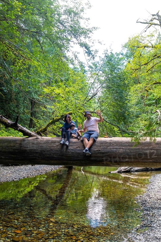 Tourists sitting on a large fallen tree trunk spanning a shallow river in a lush green forest, enjoying summer vacation at cathedral grove on vancouver island, british columbia, canada