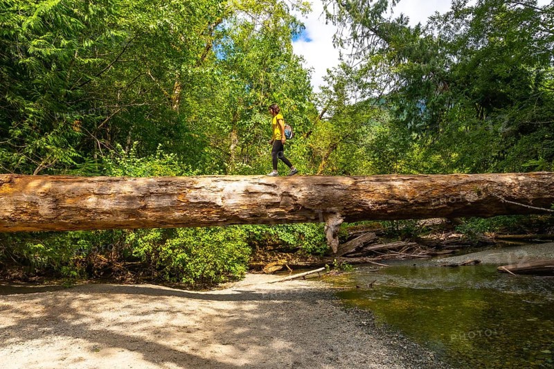 Female hiker navigating a large fallen log over a shallow creek in the serene cathedral grove forest on vancouver island, british columbia, on a peaceful summer day