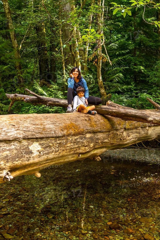 Mother and son sharing a peaceful moment on a large fallen log over a clear stream in the serene cathedral grove forest of vancouver island, british columbia