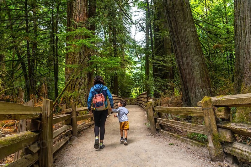 Mother and son holding hands while walking down a wooden trail in a majestic redwood forest, savoring a beautiful summer day surrounded by the tranquility of nature