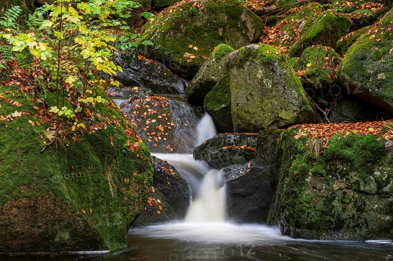 Water from the Ilse flows over mossy rocks in a picturesque forest, surrounded by autumn colors, Ilse Valley, Harz National Park, Ilsenburg, Saxony-Anhalt, Germany