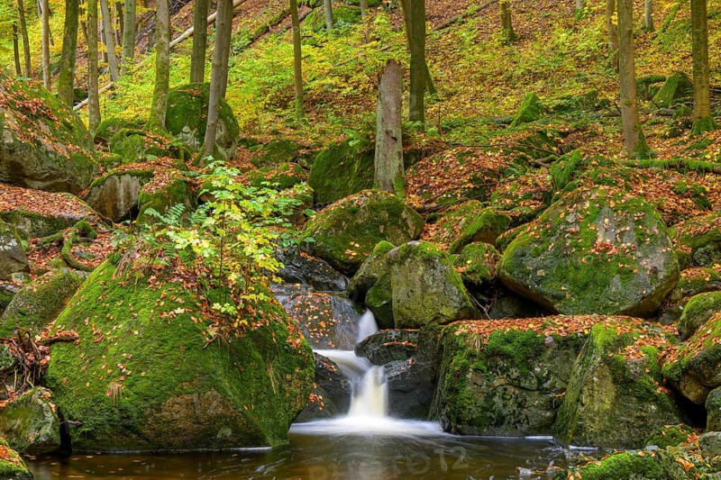 A clear waterfall of the Ilse surrounded by moss-covered rocks in an autumnal forest, Ilsetal, Harz National Park, Ilsenburg, Saxony-Anhalt, Germany