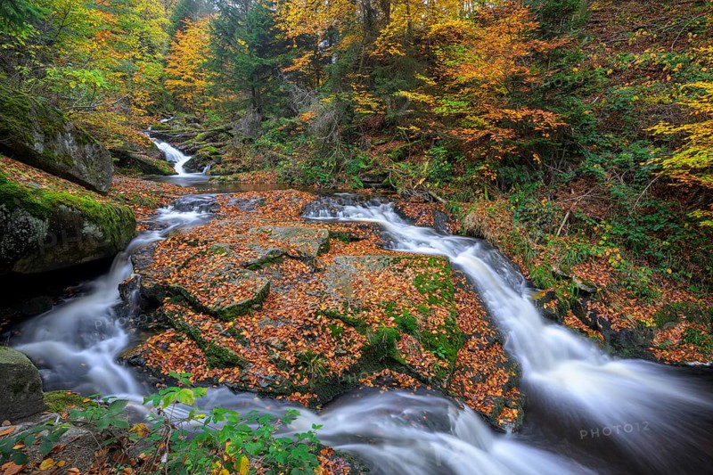 Several Ilse waterfalls cascade through an autumnal forest, Ilsetal, Harz National Park, Ilsenburg, Saxony-Anhalt, Germany
