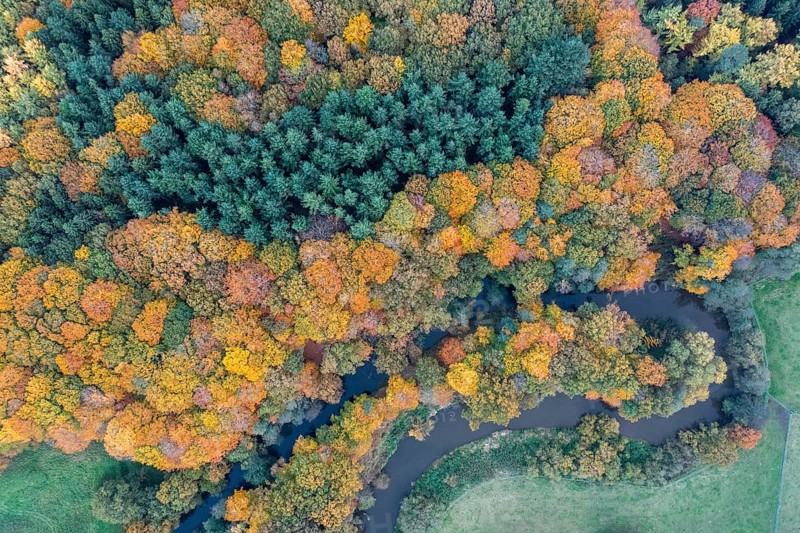 The river Hunte, which surrounds a green island with autumn-colored trees, viewed from the air, drone shot, vertical aerial view, Dötlingen, Wildeshauser Geest, Lower Saxony, Germany