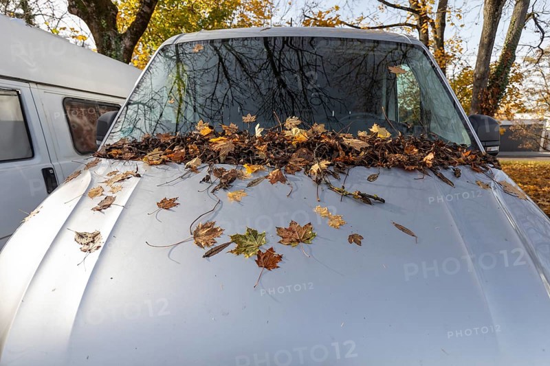 A car parked in a parking lot in Germany is completely covered with autumn leaves at the front. The windshield and bonnet are covered with colorful, fallen leaves, which gives the typical impression of a quiet autumn day