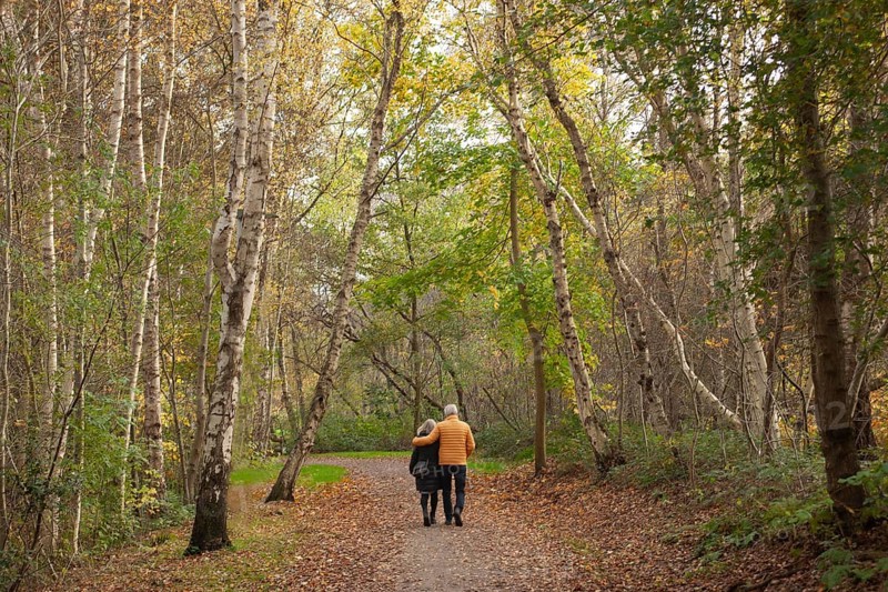 Hiking trail, elderly couple, walking away from dementia, Wiesmoor, East Frisia, Lower Saxony, Germany
