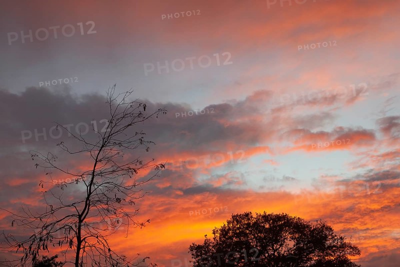 Wonderful sunset, impressive, so beautiful, Moormerland, East Frisia, Niederschsen, Germany