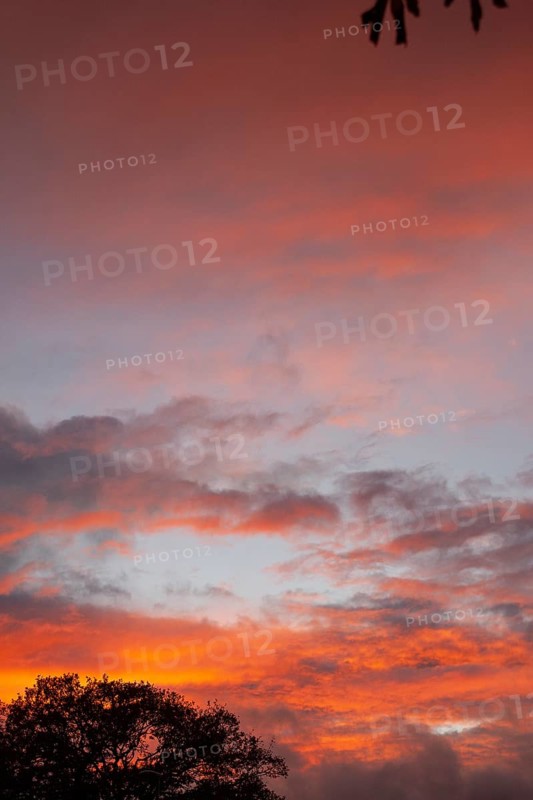 Wonderful sunset, impressive, so beautiful, Moormerland, East Frisia, Niederschsen, Germany