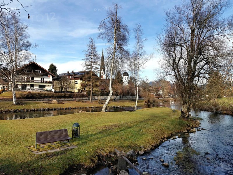 View of fish with small streams, Kirchtum in the back, Illertal, Oberallgäu, Allgäu, Bavaria, Germany