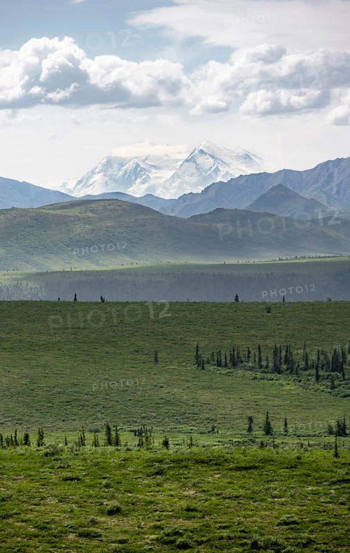 Tundra and glaciated peak of Denali or Mount McKinley, Alaska Range mountainous landscape, Denali National Park, Alaska, USA