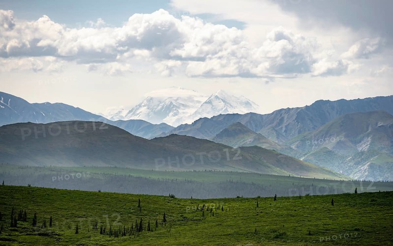 Tundra and glaciated peak of Denali or Mount McKinley, Alaska Range mountainous landscape, Denali National Park, Alaska, USA