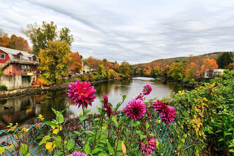 Flower bridge, Bridge of Flowers, bridge over Deerfield River, gardens, autumn leaves, Indian summer, river landscape, Mohawk Trail panoramic road, former trade route, Shelburne Falls, Massachusetts, New England, USA
