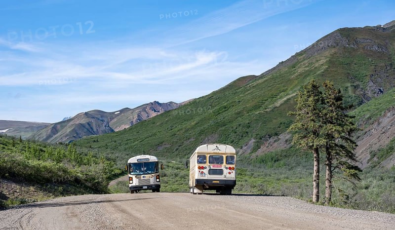 Tourist buses, national park bus on a dirt road, mountainous landscape, Denali Park Road, Denali National Park and Preserve, Alaska, USA