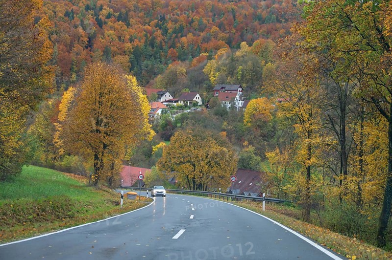 Federal road leads through an autumnal mixed forest, Egloffstein, Upper Franconia, Bavaria, Germany