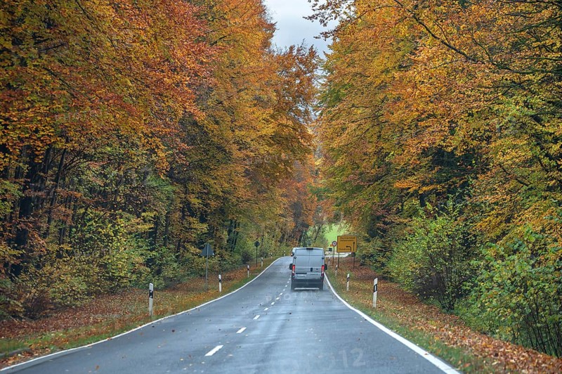 Federal road surrounded by mixed autumn forest, Gräfenberg, Upper Franconia, Bavaria, Germany