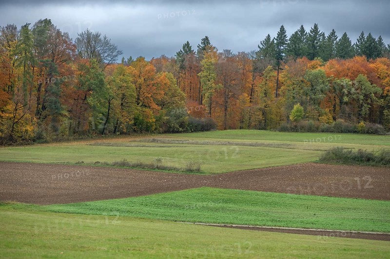 Autumn landscape with mixed autumn forest, Egloffstein, Upper Franconia, Bavaria, Germany