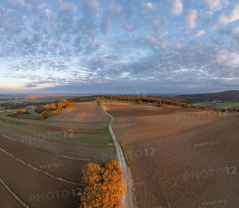 Aerial view of fields and autumn forest on Grossauer Höhe, Berndorf, Lower Austria, Austria