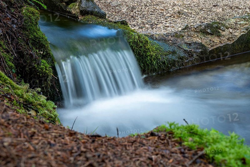 Clear mountain stream, moss-covered stones, Zgornje Jezersko mountaineering village, Slovenia