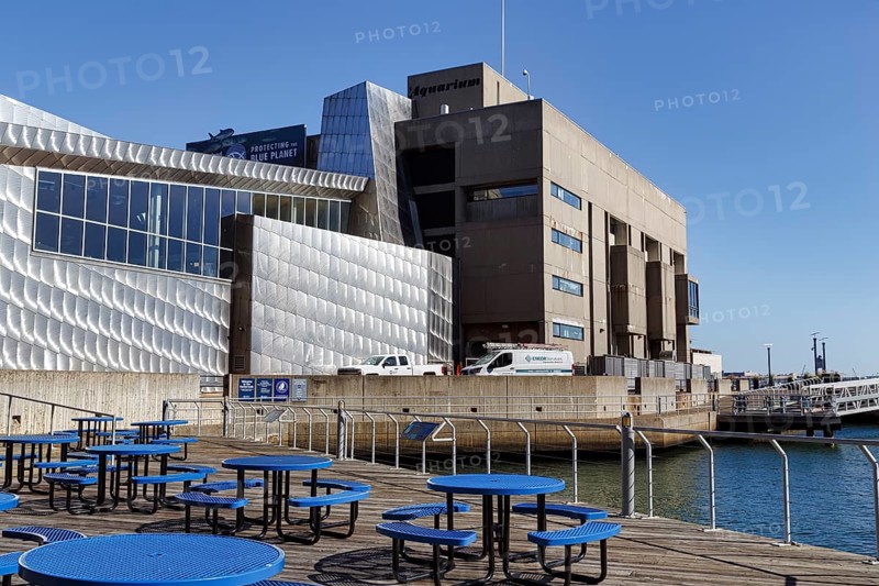 New England Aquarium, benches on patio, distinctive modern architecture, Central Wharf, waterfront, Financial District, Downtown, Boston, Massachusetts, New England, USA