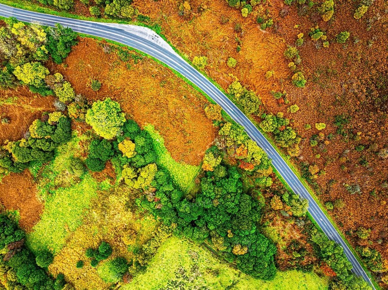 Top Down view of Autumn colours over River Wye and Road A470 from a drone, Llanidloes, Powys, Montgomeryshire, Wales, UK
