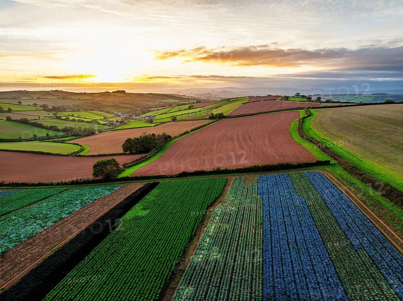 Colours of autumn Fields and Farms over Sheldon from a drone, Torbay, Devon, England, United Kingdom