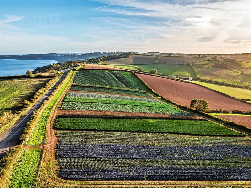 DefaultColours of autumn Fields and Farms over Sheldon from a drone, Torbay, Devon, England, United Kingdom