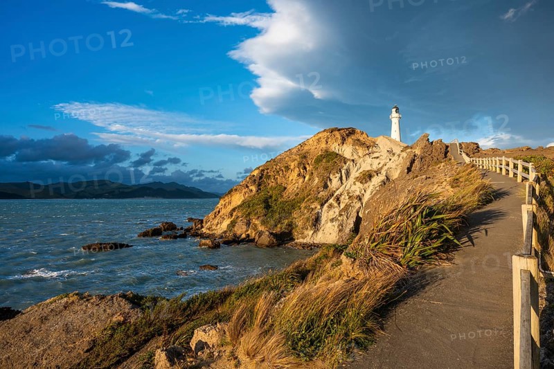 Sea, rocks, coast and Castlepoint lighthouse, evening, golden hour. Castlepoint, Wairarapa Coast, Wellington Region, North Island, New Zealand