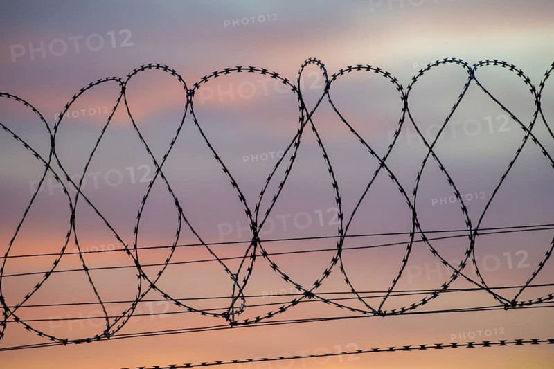 Barbed wire against a pastel evening sky offers a contrasting view, Baden-Württemberg, Germany