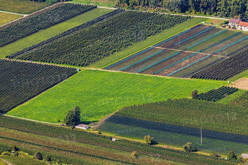 Rectangular fields, Calais, view from Vercorin, Val d'Anniviers, Valais Alps, Canton of Valais, Switzerland